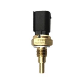Cf Moto Nk 250 Termostat