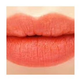 Chanel No:954 Radical Rouge Allure Liquid Powder Ruj