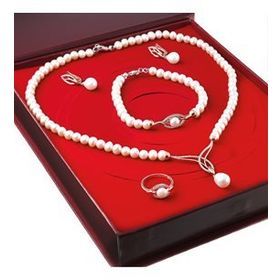 Chavin DS45 İnci Rose Gümüş Set