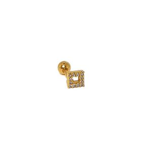 Chavin EB64BY Gri Çelik 6 Takım Bayan Küpe Piercing