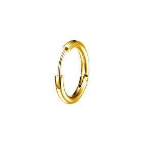 Chavin ET96SR Çelik Gold 10 mm Tekli Küçük Unisex Halka Küpe