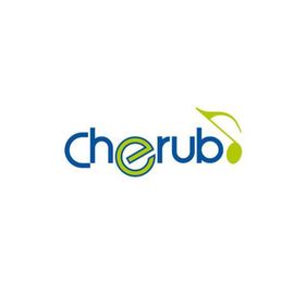 Cherub ST-710 Vakumlu Akort Aleti