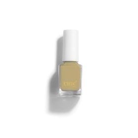 Chic Nail No:122 Oje