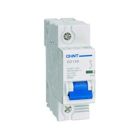 Chint 158087 DZ158 Serisi 1P 10kA C Tipi 100A Otomatik Sigorta