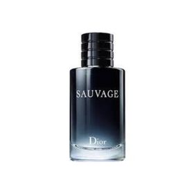 Chiristian Dior Sauvage Eau 100 ml Erkek Parfümü