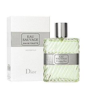 Chiristian Dior Sauvage Eau 100 ml Erkek Parfümü