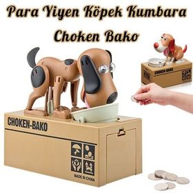 CHOKEN BAKO KÖPEK KUMBARA