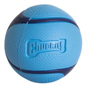 Chuckit Sniff Fetch Jambon Kokulu Orta Köpek Oyun Topu
