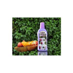 Çiçek Çoşturan 600 ml Orkide Özel Bitki Besini