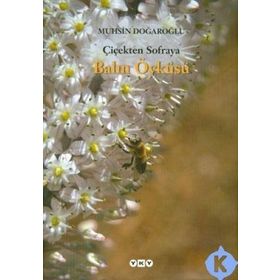 ÇİÇEKTEN SOFRAYA BALIN ÖYKÜSÜ - MUHSIN DOĞAROĞLU