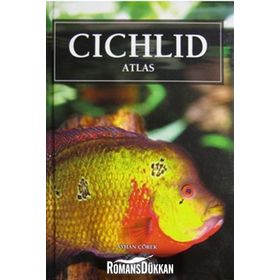 CICHLID ATLAS CIKLET ATLASI - AKVARYUM BALIKLARI - AYHAN ÇÖREK