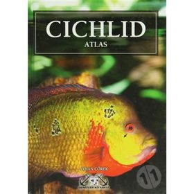 CICHLID ATLAS CIKLET ATLASI - AKVARYUM BALIKLARI - AYHAN ÇÖREK