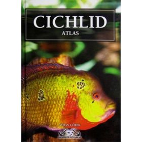 CICHLID ATLAS CIKLET ATLASI - AKVARYUM BALIKLARI - AYHAN ÇÖREK