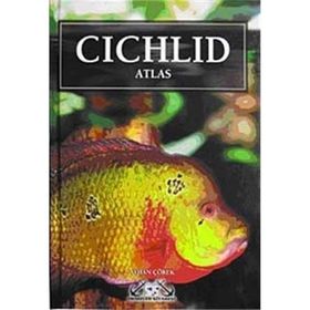 CICHLID ATLAS CIKLET ATLASI - AKVARYUM BALIKLARI - AYHAN ÇÖREK