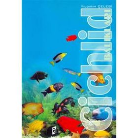 Cichlid Balıkları - Yıldırım Çelebi