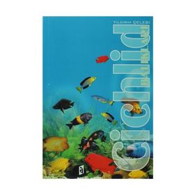 Cichlid Balıkları - Yıldırım Çelebi