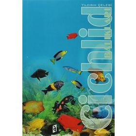 Cichlid Balıkları - Yıldırım Çelebi