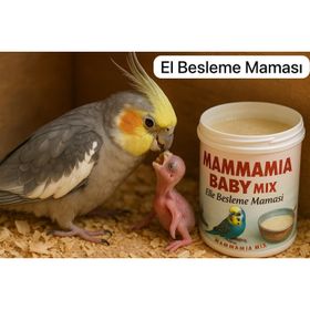 Ciftciyik 400 gr Baby Mix El İle Besleme Maması