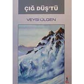 Çığ Düş’tü - Veysi Ülgen