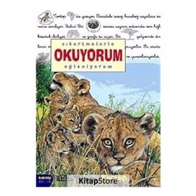 ÇIKARTMALARLA OKUYORUM EĞLENİYORUM ASLAN YAVRUSU TORTOP - DELPHINE LACHARRON