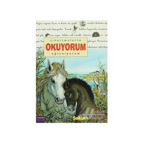 ÇIKARTMALARLA OKUYORUM EĞLENİYORUM KÜÇÜK TAY ŞAHLAN - DELPHINE LACHARRON