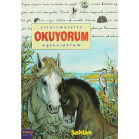 ÇIKARTMALARLA OKUYORUM EĞLENİYORUM KÜÇÜK TAY ŞAHLAN - DELPHINE LACHARRON