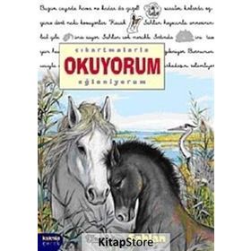 ÇIKARTMALARLA OKUYORUM EĞLENİYORUM KÜÇÜK TAY ŞAHLAN - DELPHINE LACHARRON