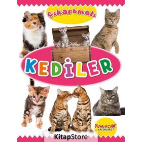 Çıkartmalı Kediler Kolektif