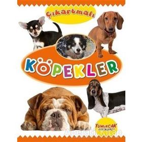 Çıkartmalı Köpekler Kolektif