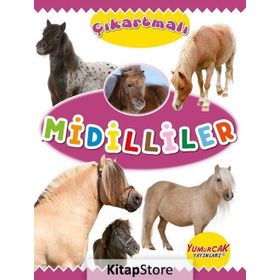 Çıkartmalı Midilliler Kolektif