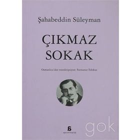 ÇIKMAZ SOKAK - ŞAHABEDDİN SÜLEYMAN