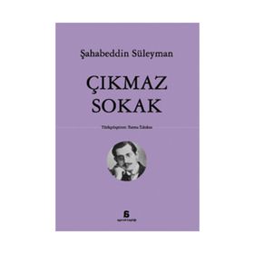 ÇIKMAZ SOKAK - ŞAHABEDDİN SÜLEYMAN