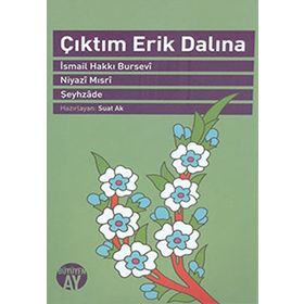 ÇIKTIM ERIK DALINA - KOLEKTIF