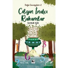 Çılgın ve İnatçı Rakamlar - İlknur Işık