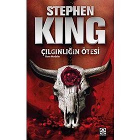 ÇILGINLIĞIN ÖTESİ - STEPHEN KING