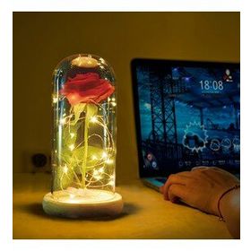 Çılgıntrend Kişiye Özel Fotoğraflı Cam Fanus İçerisinde Dekoratif Led Işıklı Solmayan Gül Lamba ve Lotus Kolye