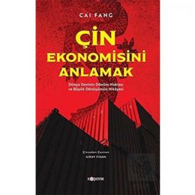 Çin Ekonomisini Anlamak - Cai Fang