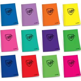 Çınar 75014 A5 Plastik Kapak College Dikişli 80 Yaprak Kareli 80/4 12'li Defter