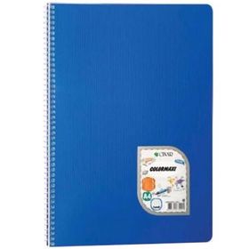 Çınar Colormaxi Spiralli Plastik Kapak Çizgisiz 96 Yaprak A4 Defter