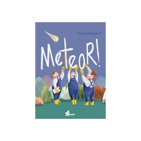 Çınar Yayınları Meteor