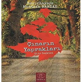 Çınarın Yaprakları Mustafa Bardak