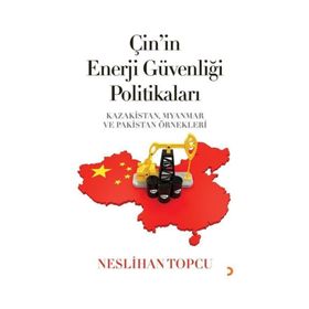 Çin'in Enerji Güvenliği Politikaları - Neslihan Topçu