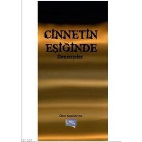 Cinnetin Eşiğinde Denemeler - Özer Şenödeyici