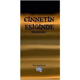 Cinnetin Eşiğinde Denemeler - Özer Şenödeyici