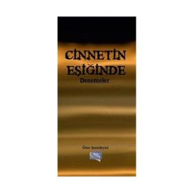 Cinnetin Eşiğinde Denemeler - Özer Şenödeyici