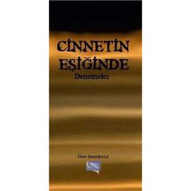 Cinnetin Eşiğinde Denemeler - Özer Şenödeyici