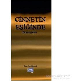Cinnetin Eşiğinde Denemeler - Özer Şenödeyici