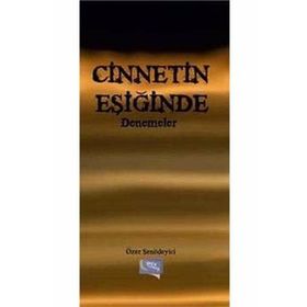 Cinnetin Eşiğinde Denemeler - Özer Şenödeyici