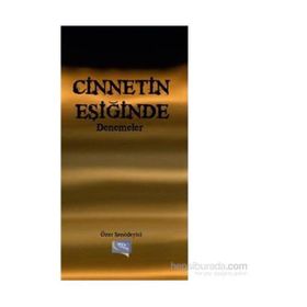 Cinnetin Eşiğinde Denemeler - Özer Şenödeyici