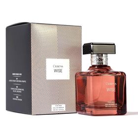 Cioness Wise 100 ml EDP Erkek Parfüm